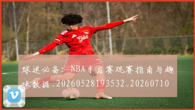 球迷必备：NBA季后赛观赛指南与趣味数据_20260528193532_20260710003039