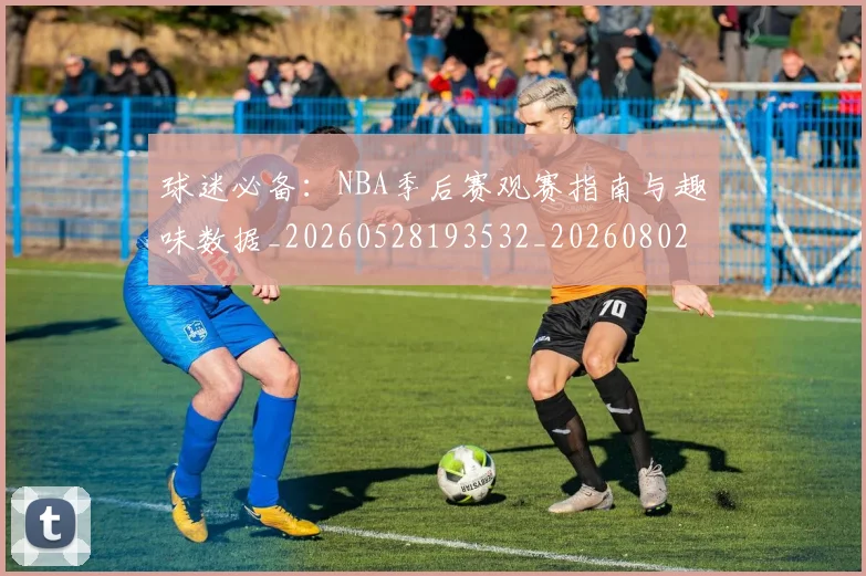 球迷必备:NBA季后赛观赛指南与趣味数据_20260528193532_20260802161011